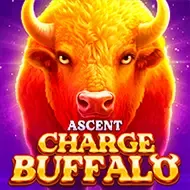 Charge Buffalo ASCENTJILI
