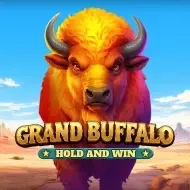 Grand Buffalo Hold and Win screenshot